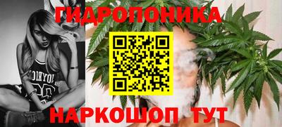 кокс Заводоуковск